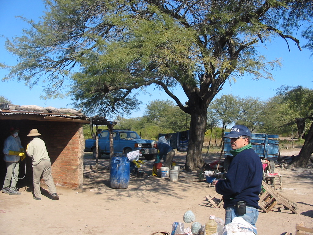 Personal involucrado en trabajo de campo