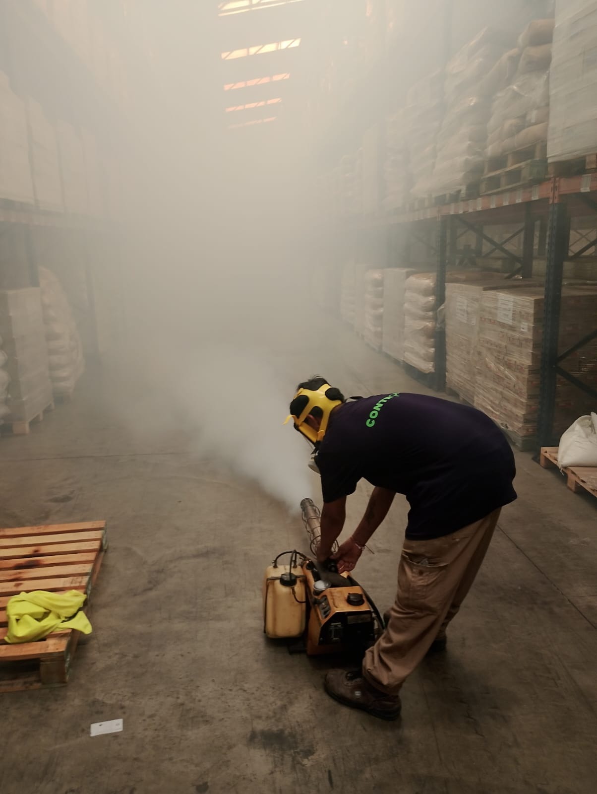 Inspección y Control de cucarachas en altura